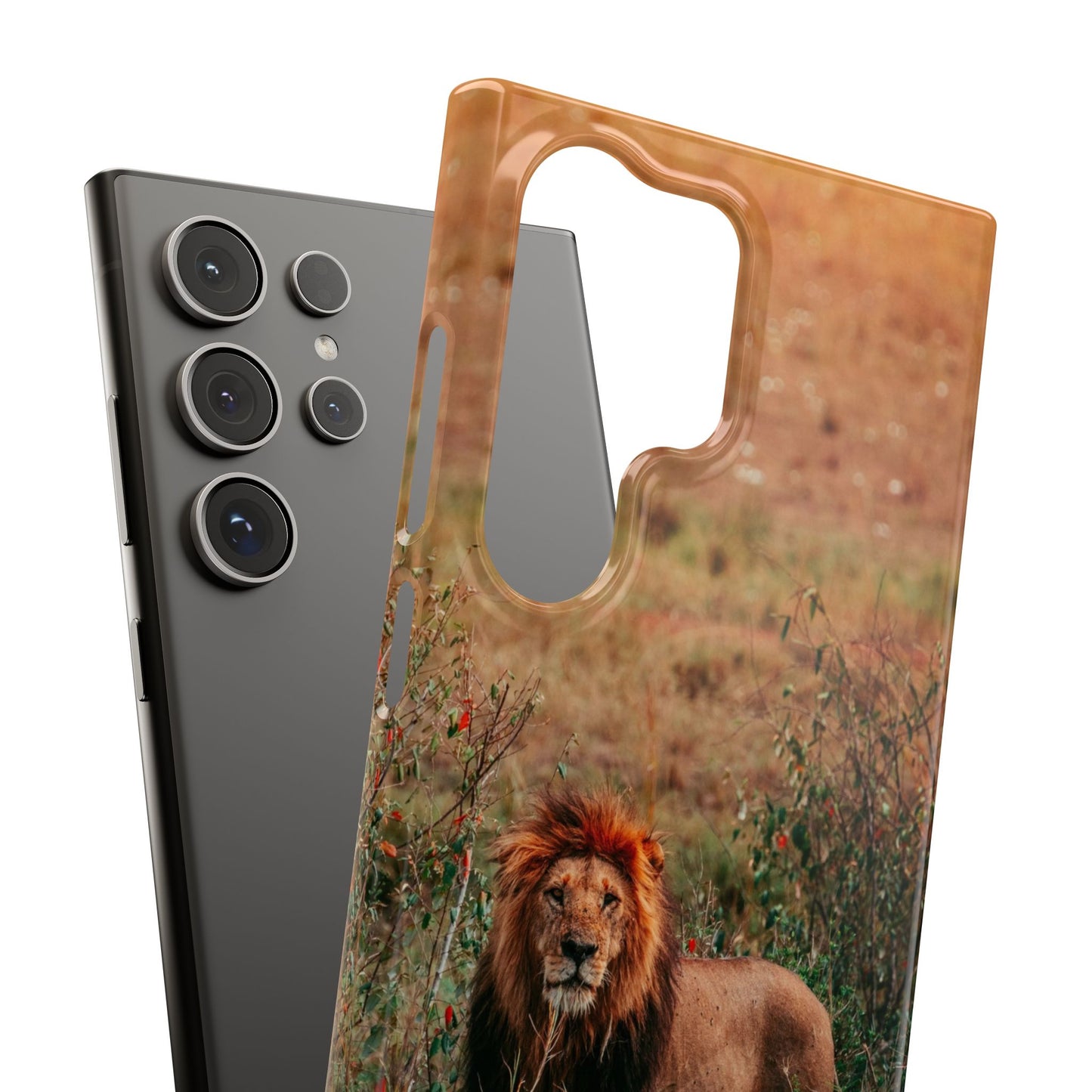 Majestic Lion Cajasol - Nature Inspired
