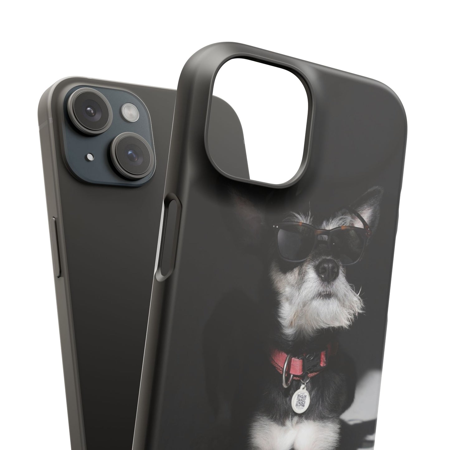 Cool Dog Cajasol - Stylish Pet