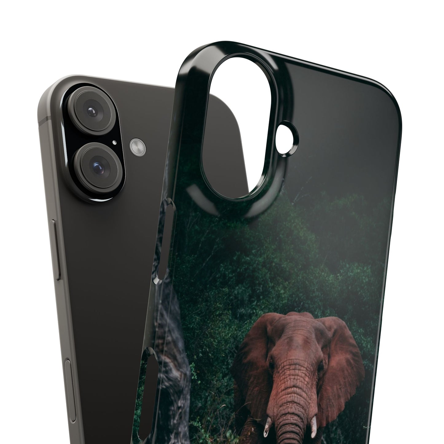 Wildlife Lover's Cajasol - Majestic Elephant