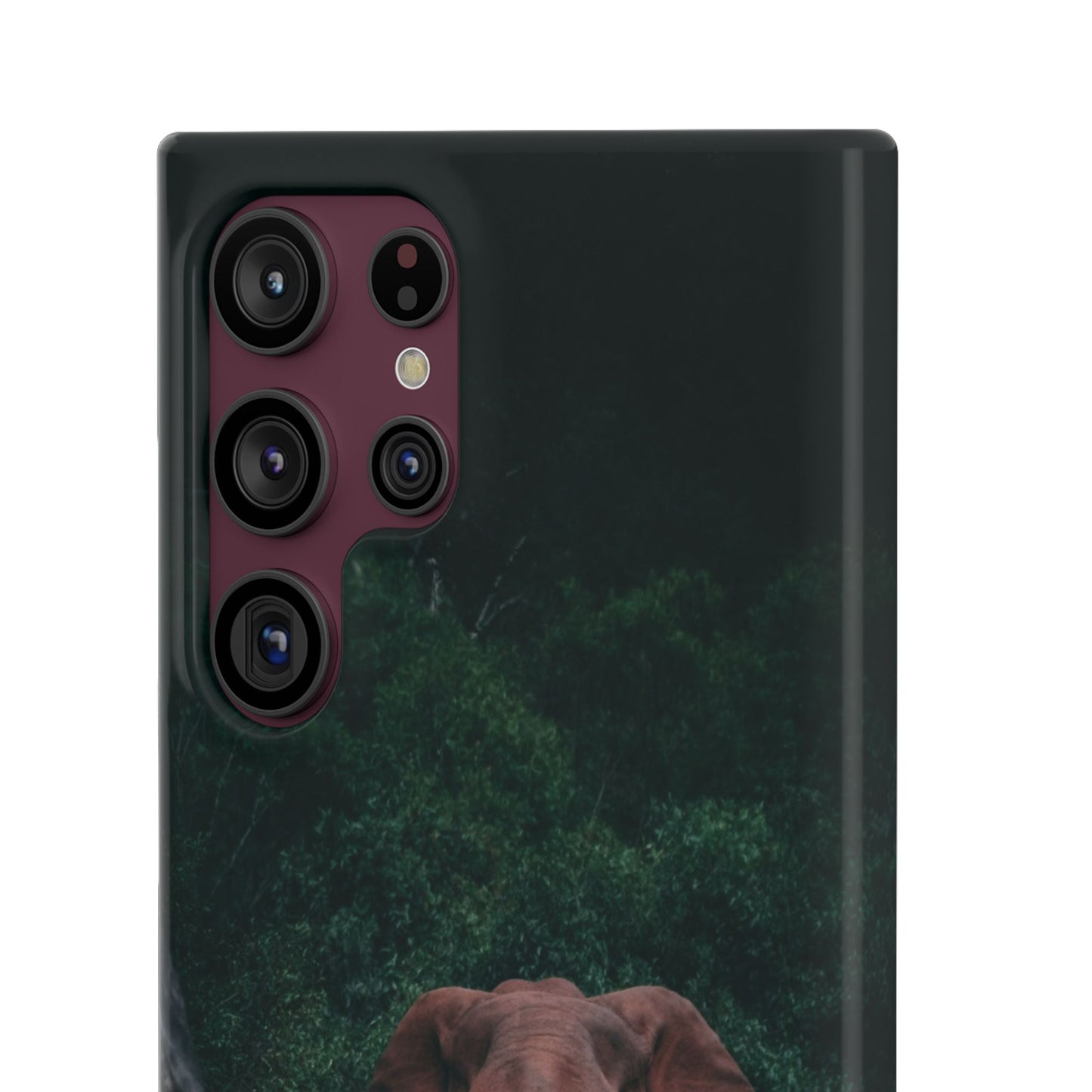 Wildlife Lover's Cajasol - Majestic Elephant