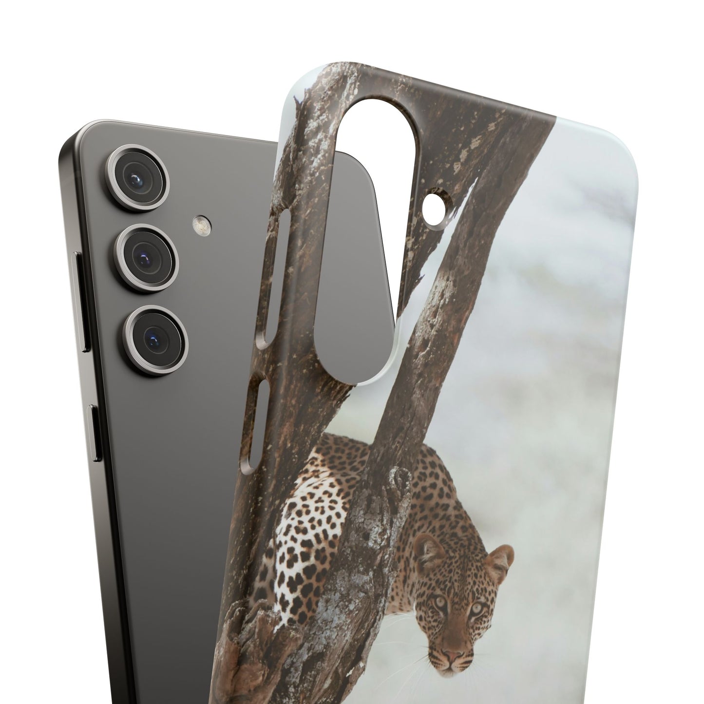 Leopard Cajasol - Wildlife Vibes