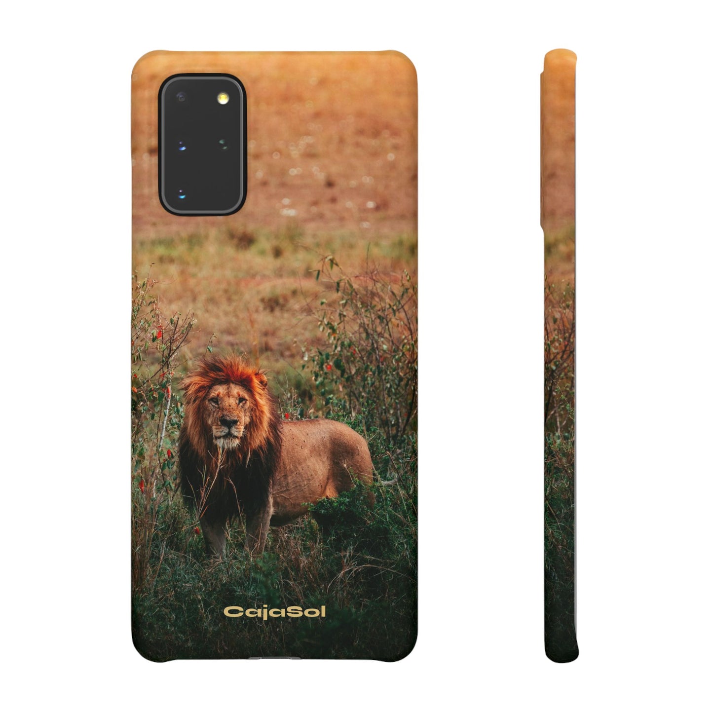 Majestic Lion Cajasol - Nature Inspired