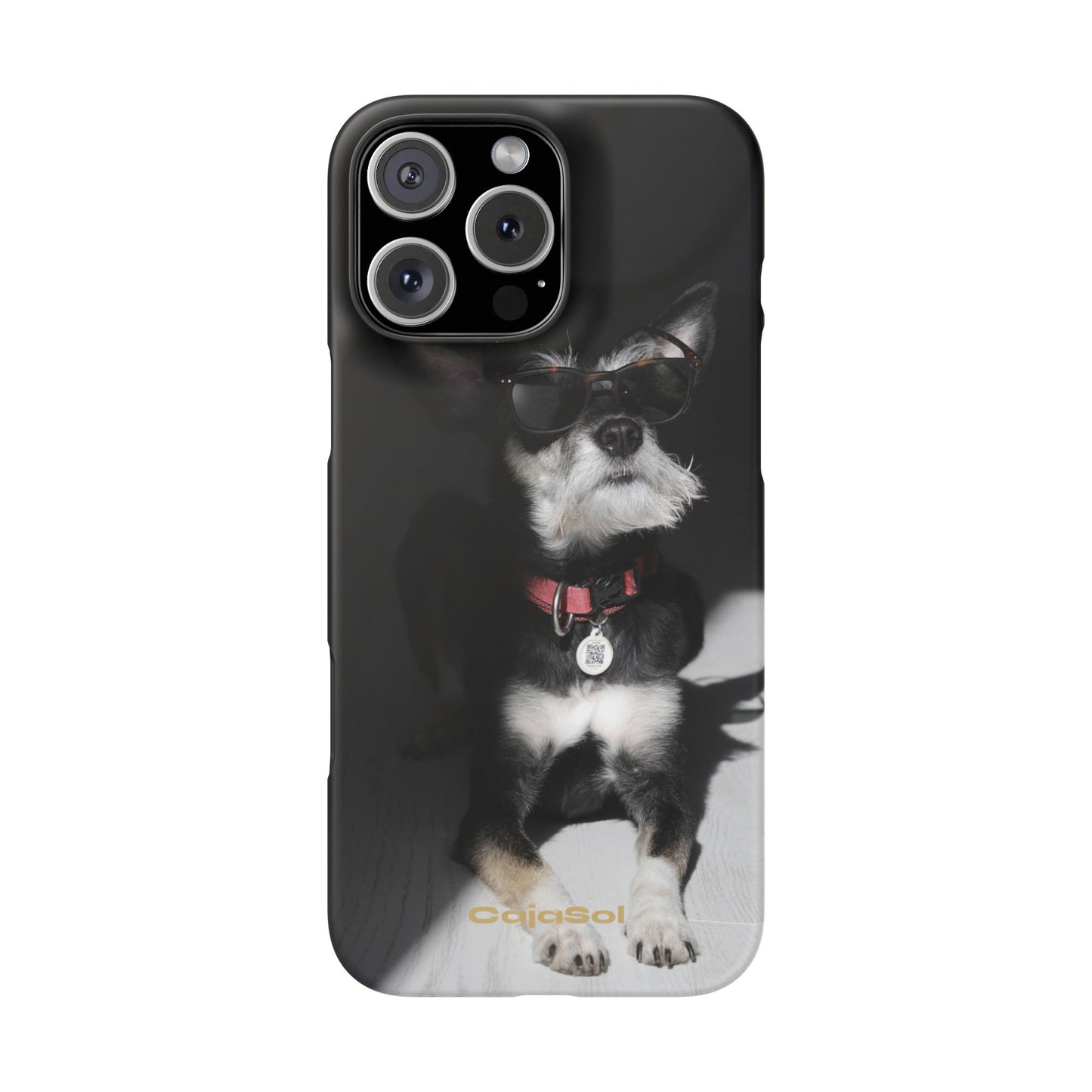 Cool Dog Cajasol - Stylish Pet
