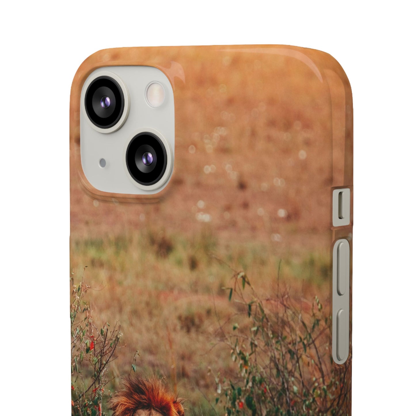 Majestic Lion Cajasol - Nature Inspired