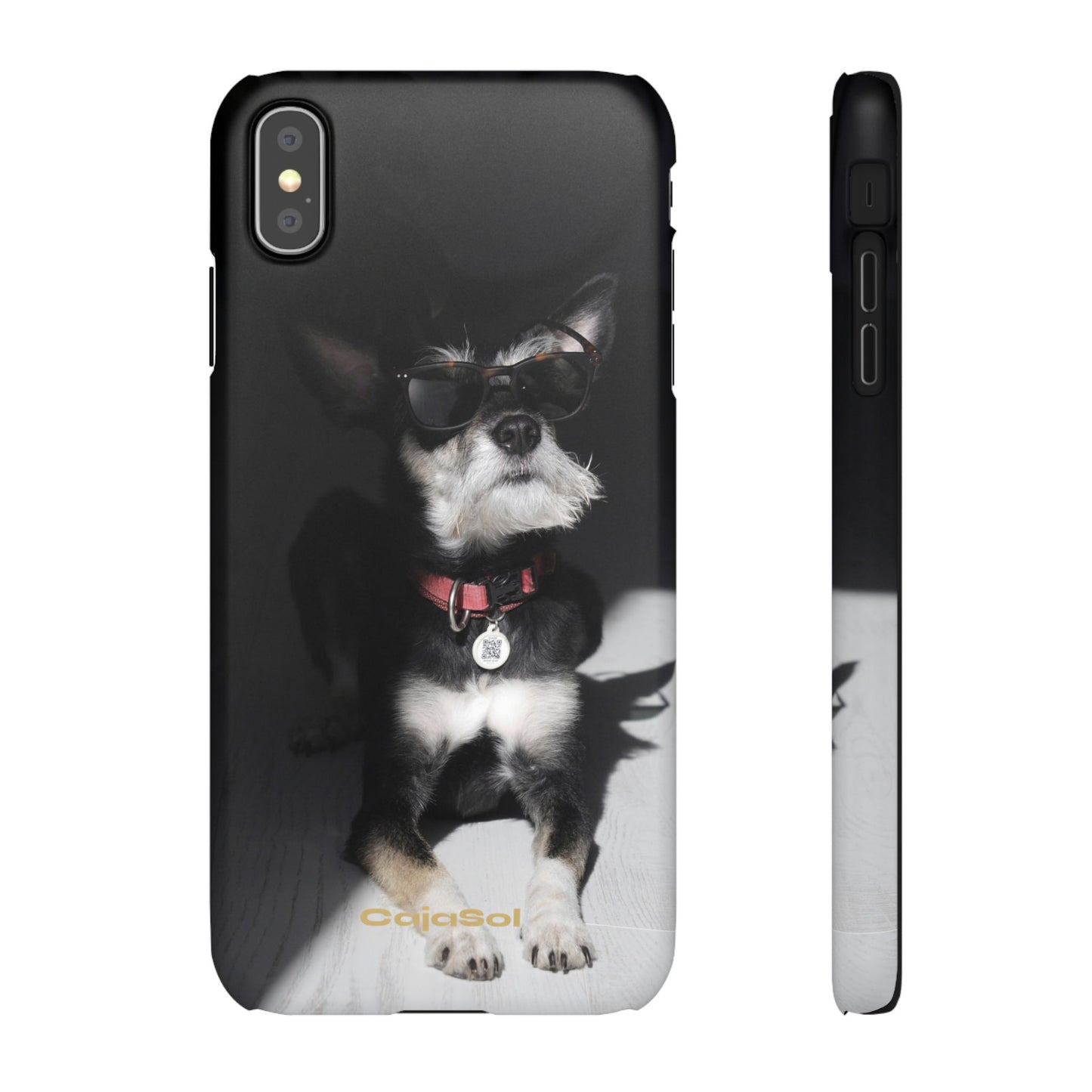 Cool Dog Cajasol - Stylish Pet