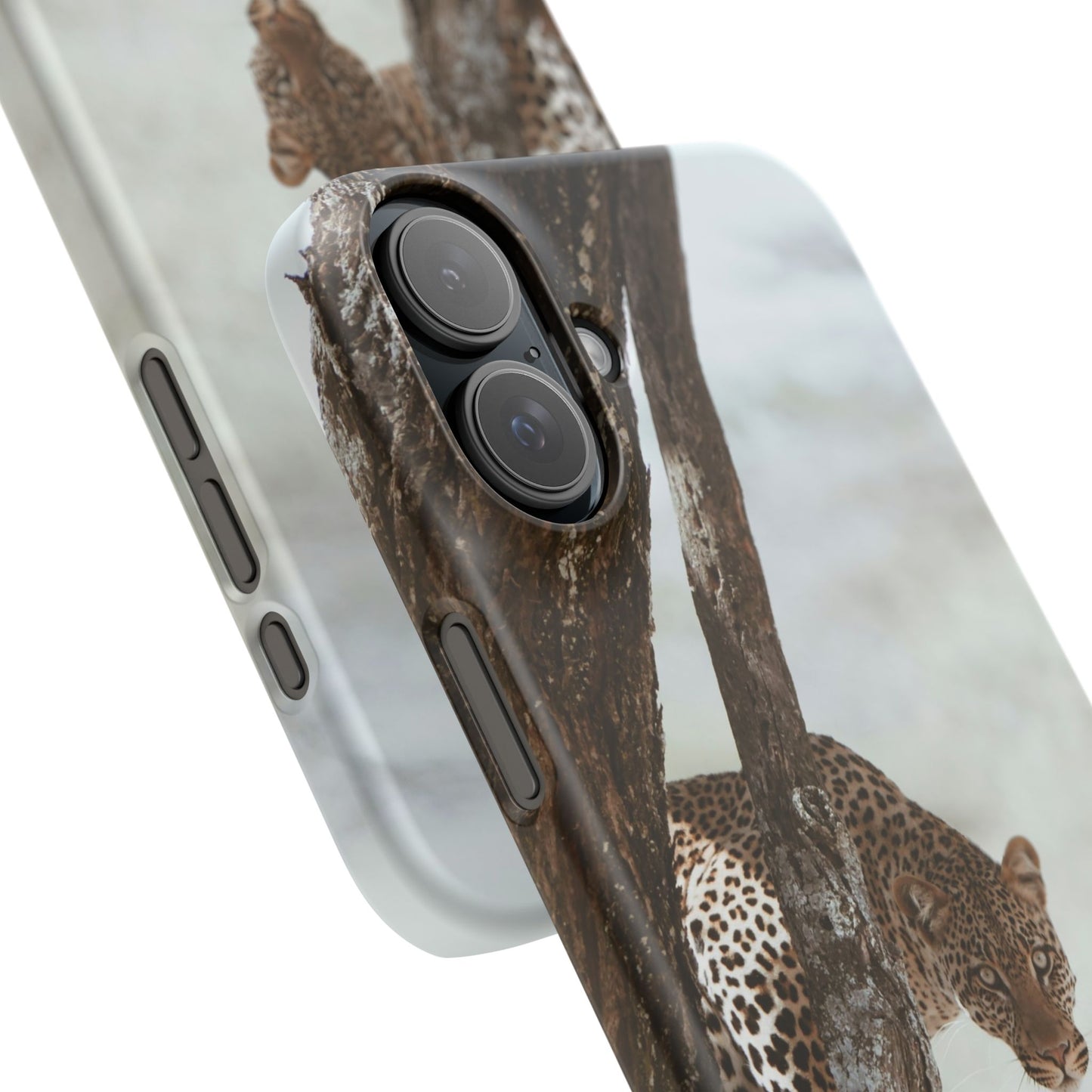 Leopard Cajasol - Wildlife Vibes