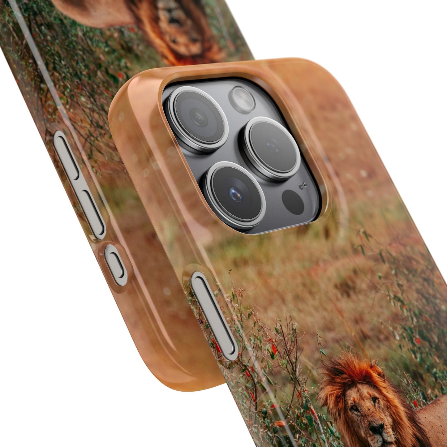 Majestic Lion Cajasol - Nature Inspired