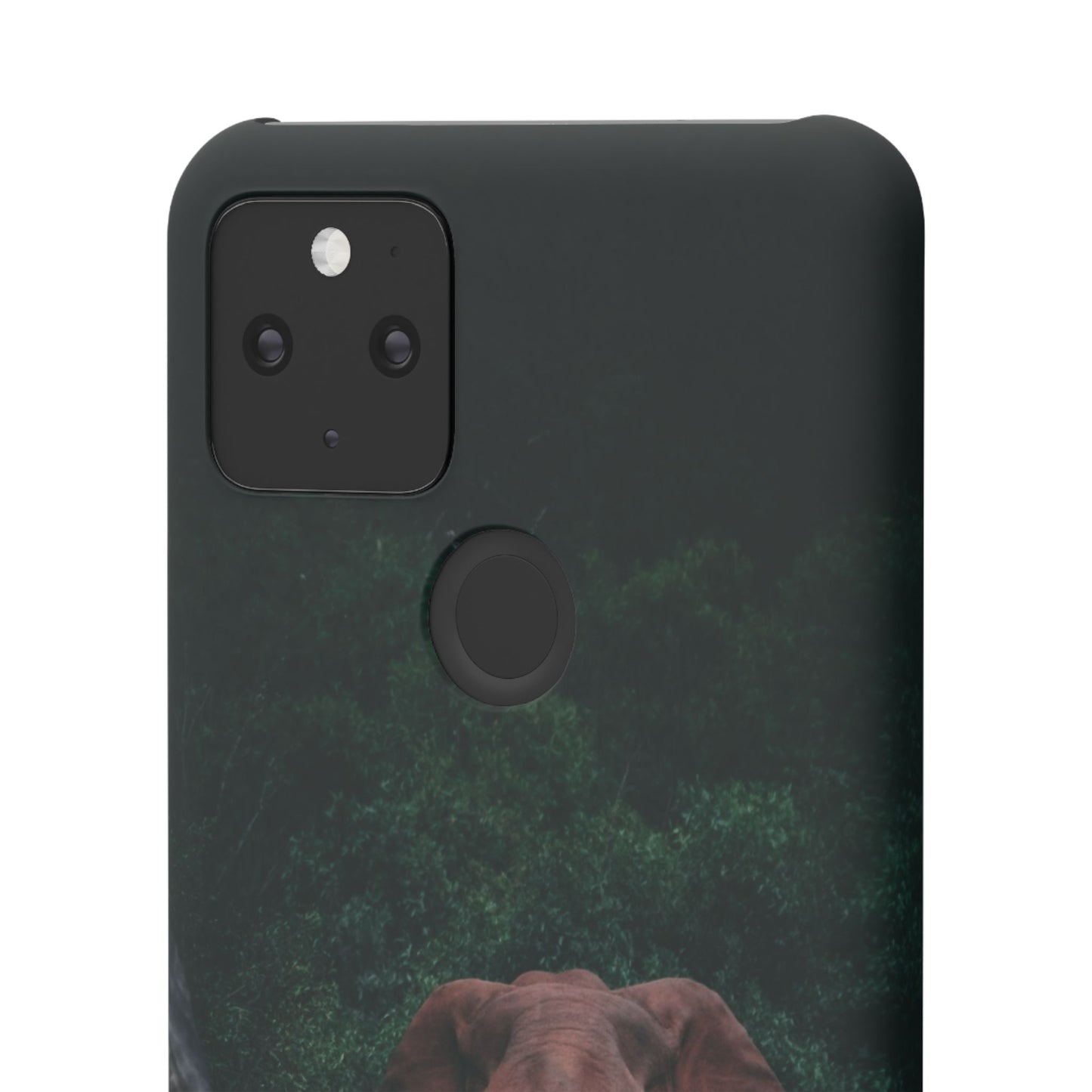 Wildlife Lover's Cajasol - Majestic Elephant