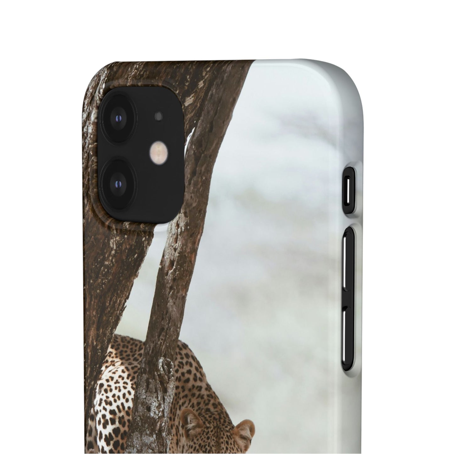 Leopard Cajasol - Wildlife Vibes