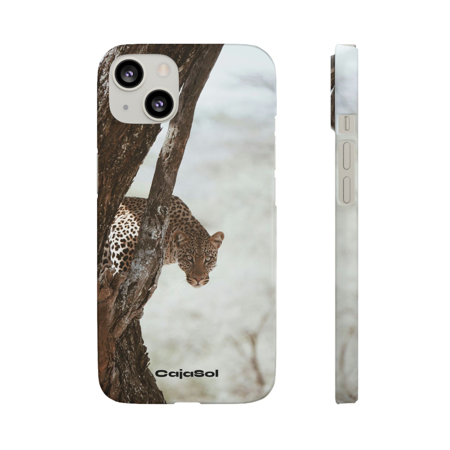 Leopard Cajasol - Wildlife Vibes