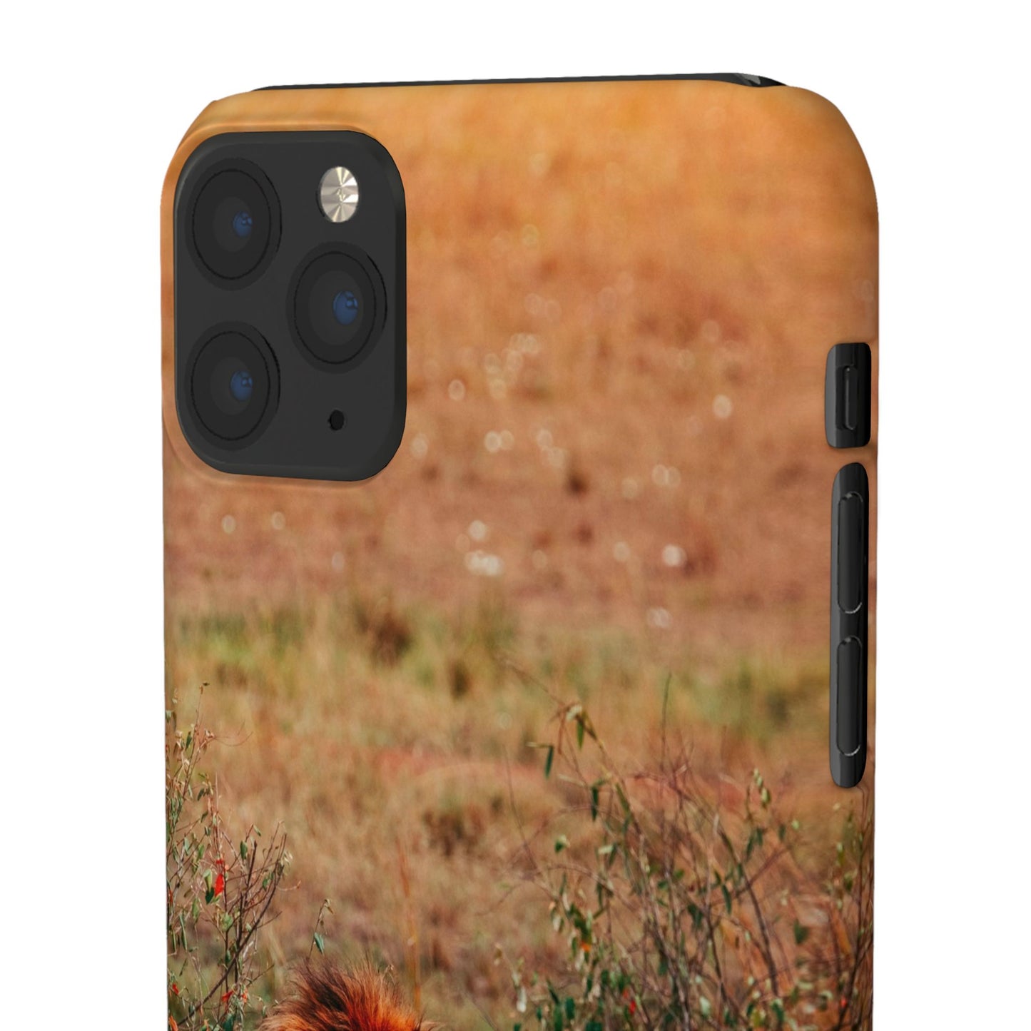 Majestic Lion Cajasol - Nature Inspired