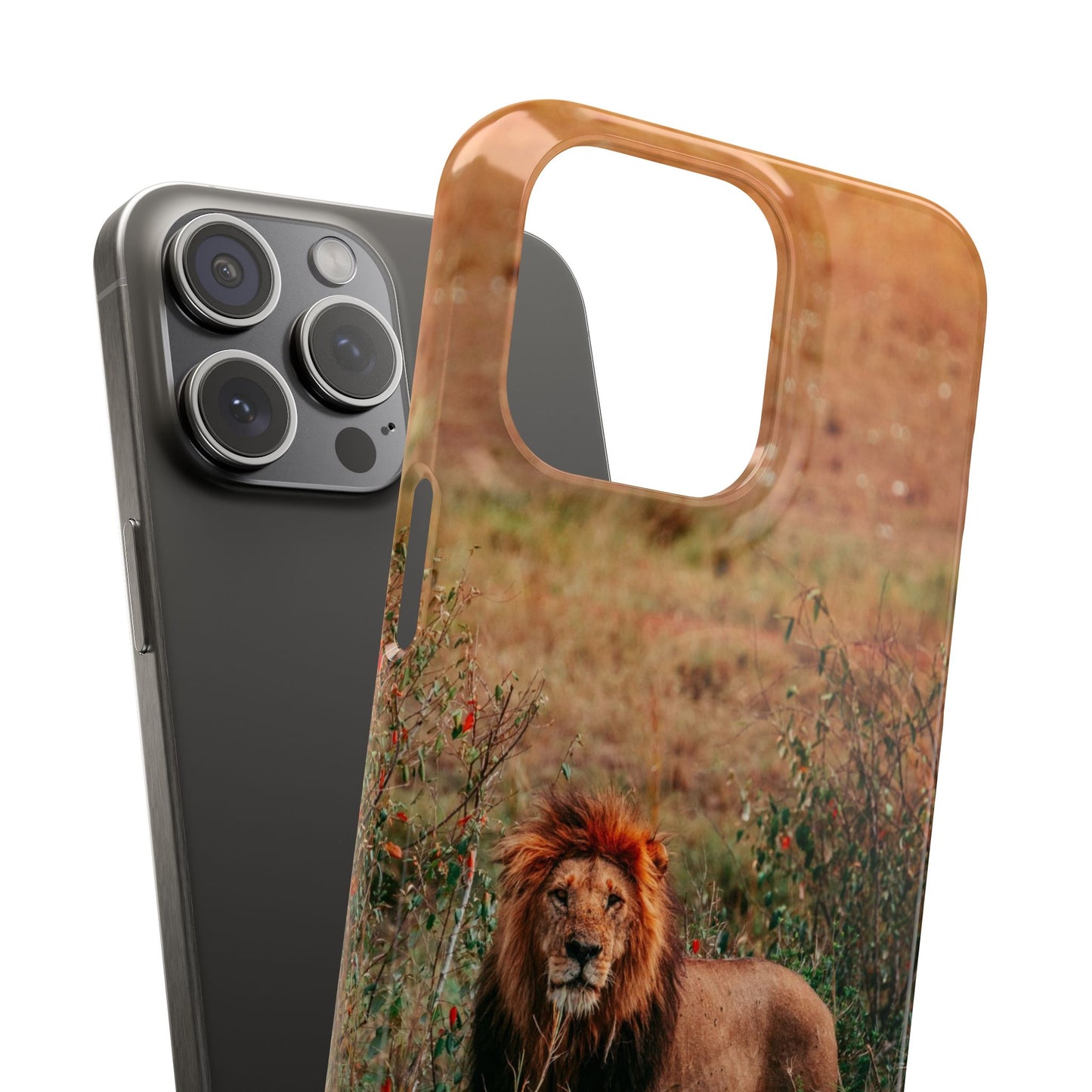 Majestic Lion Cajasol - Nature Inspired
