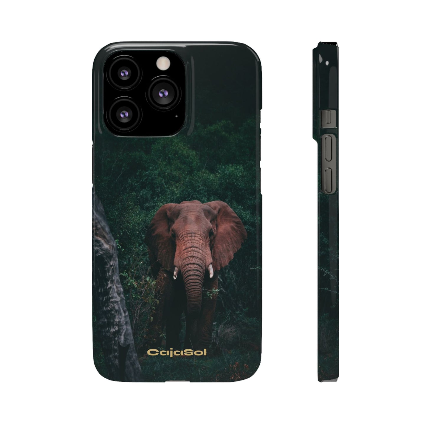 Wildlife Lover's Cajasol - Majestic Elephant