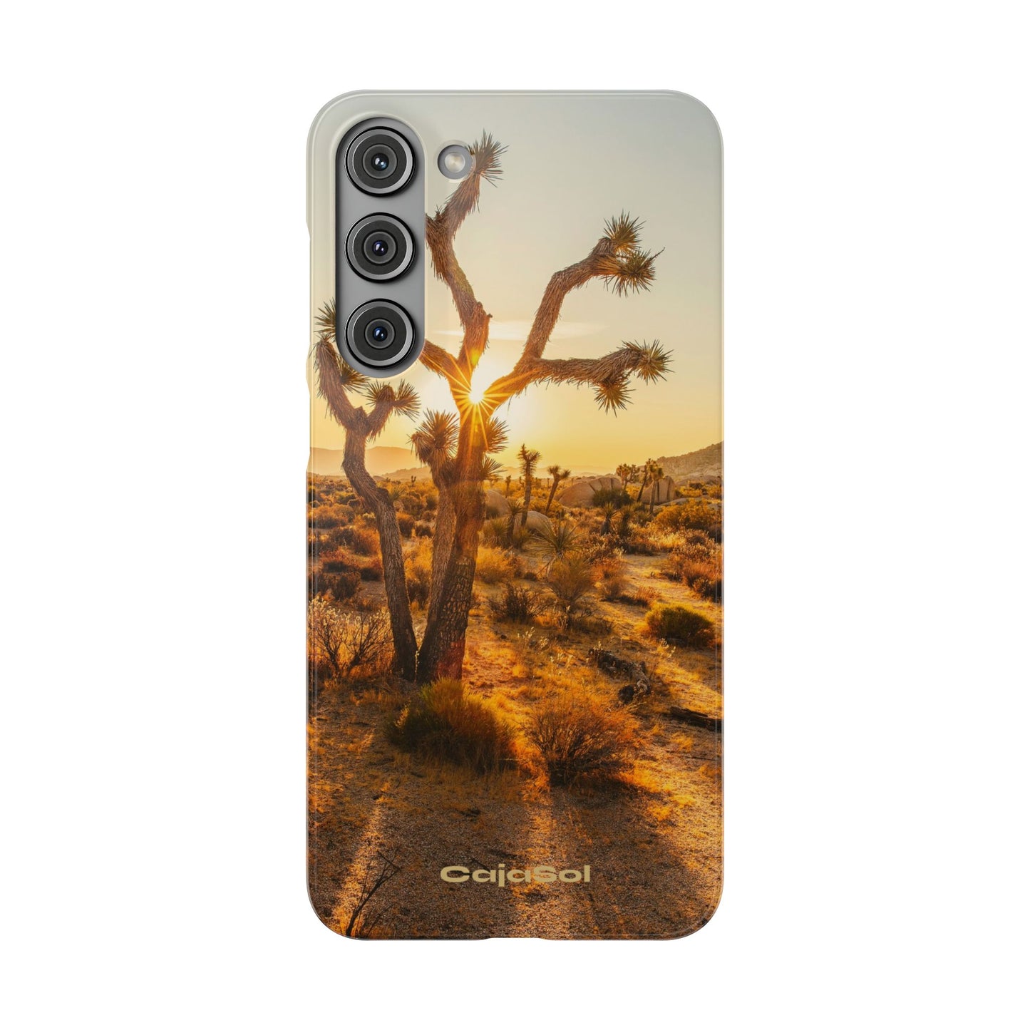 Desert Sunset Cajasol - Stylish Protection for Nature Lovers