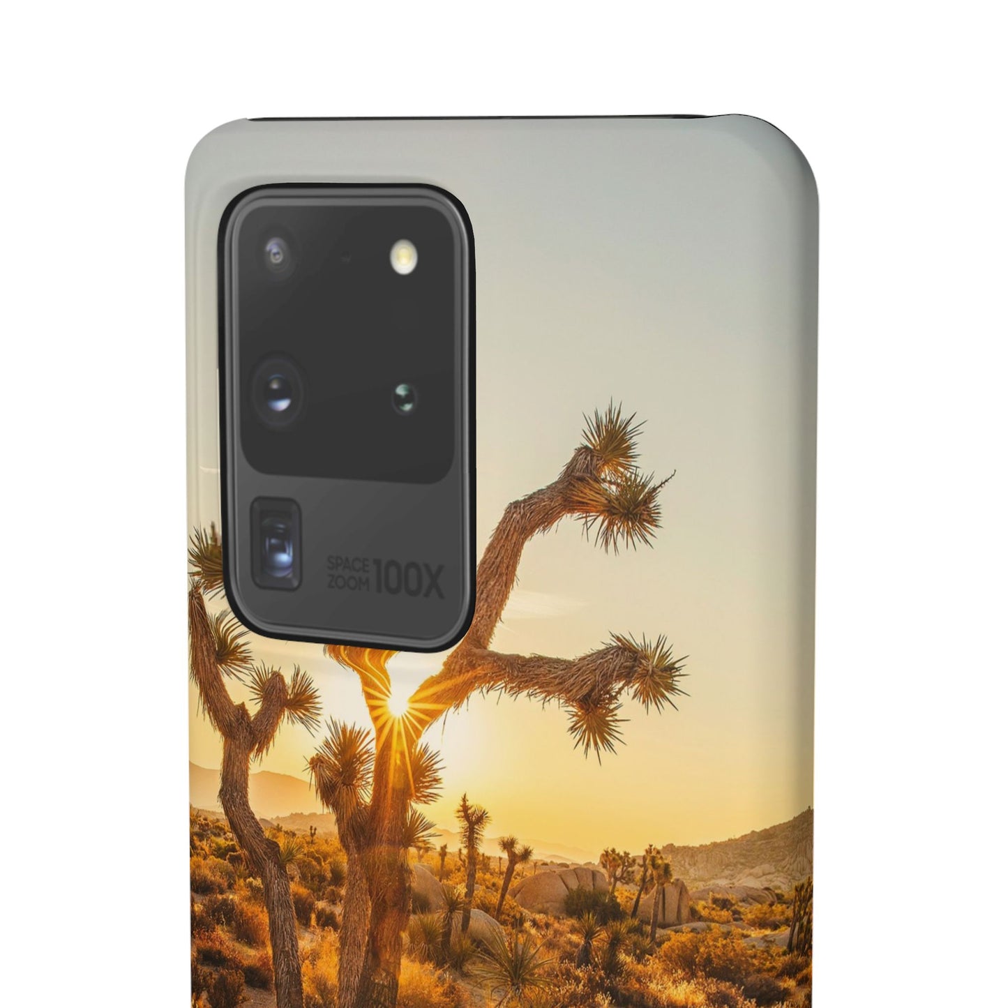 Desert Sunset Cajasol - Stylish Protection for Nature Lovers
