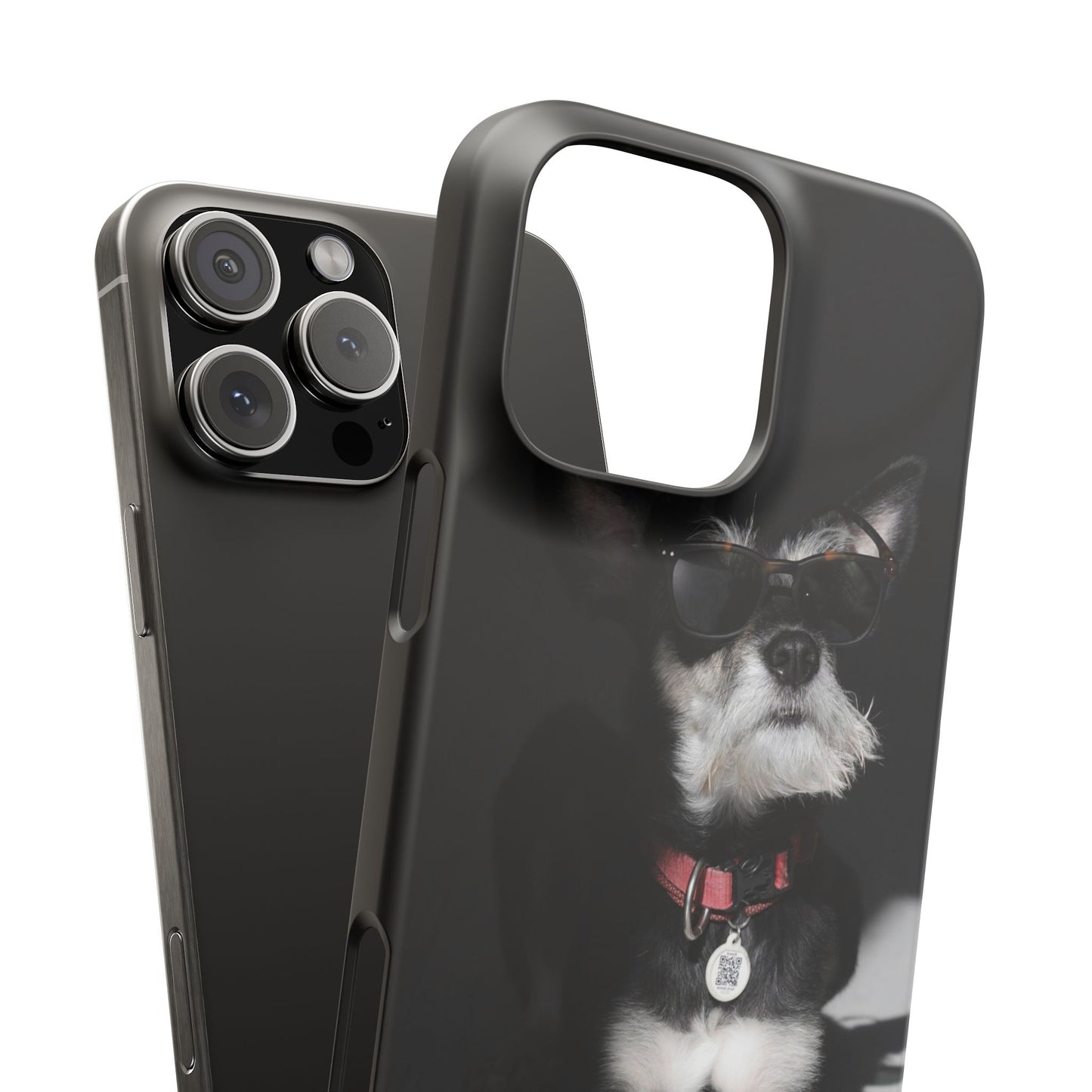 Cool Dog Cajasol - Stylish Pet