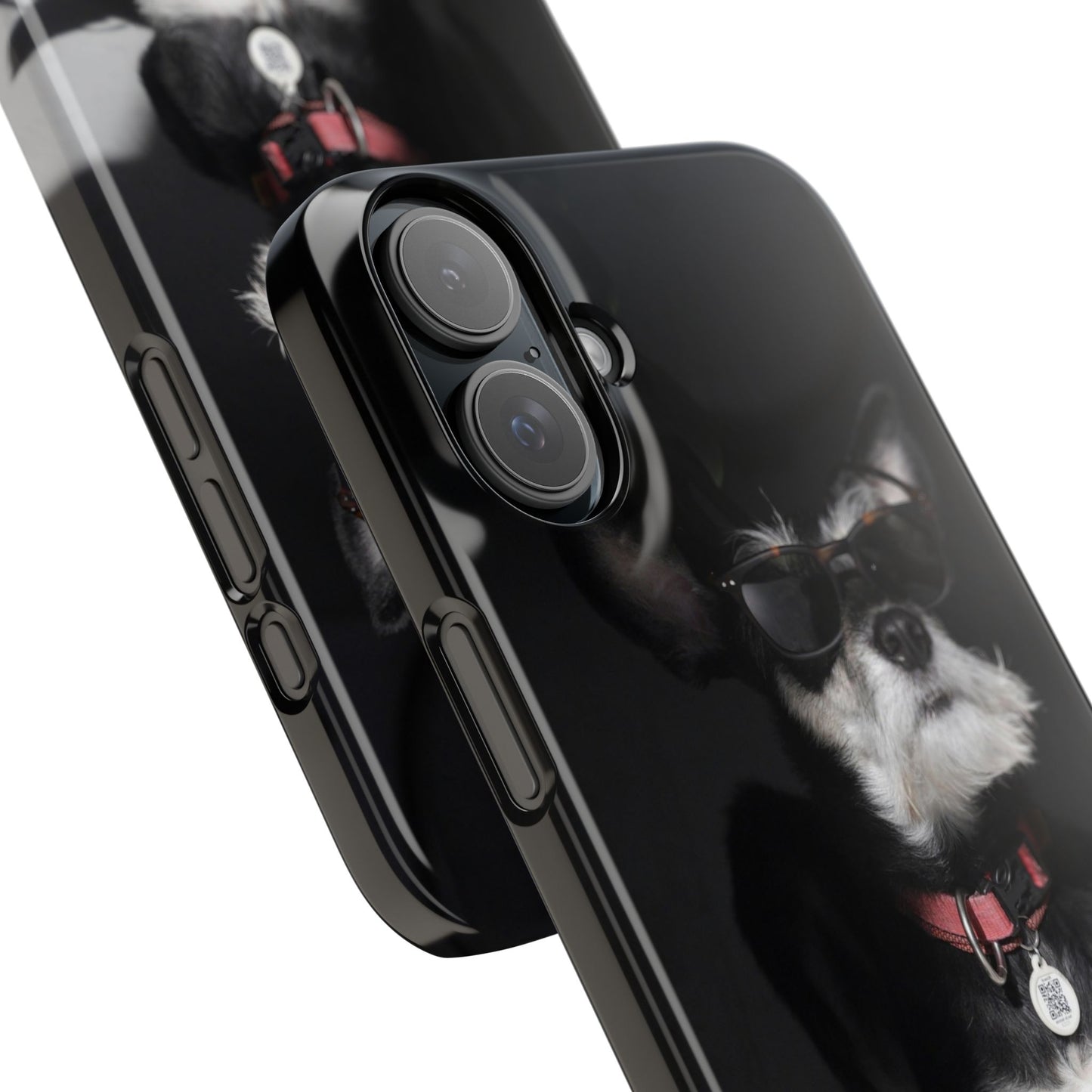 Cool Dog Cajasol - Stylish Pet