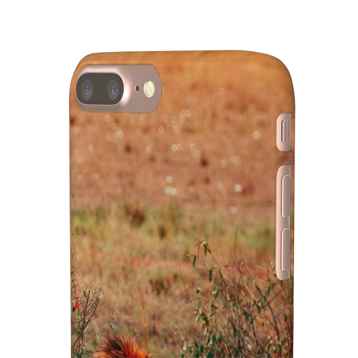 Majestic Lion Cajasol - Nature Inspired