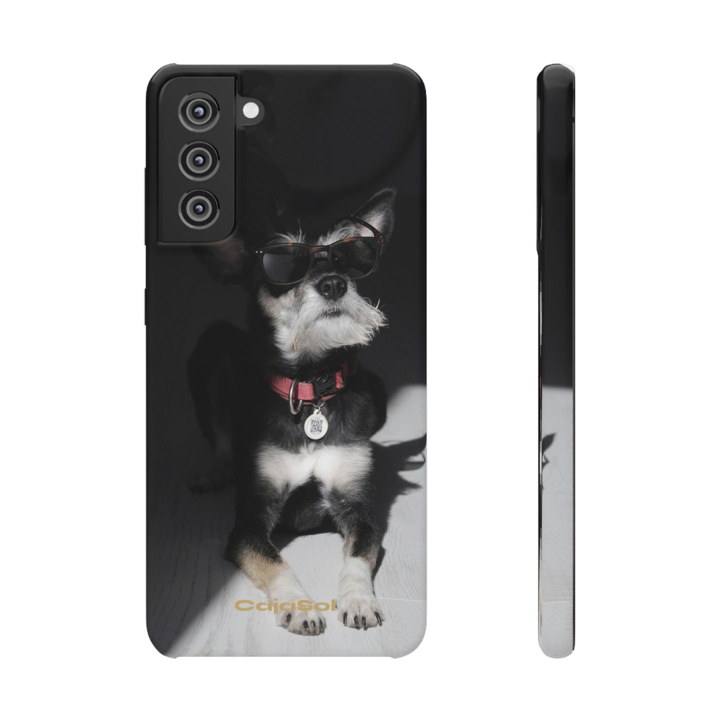Cool Dog Cajasol - Stylish Pet