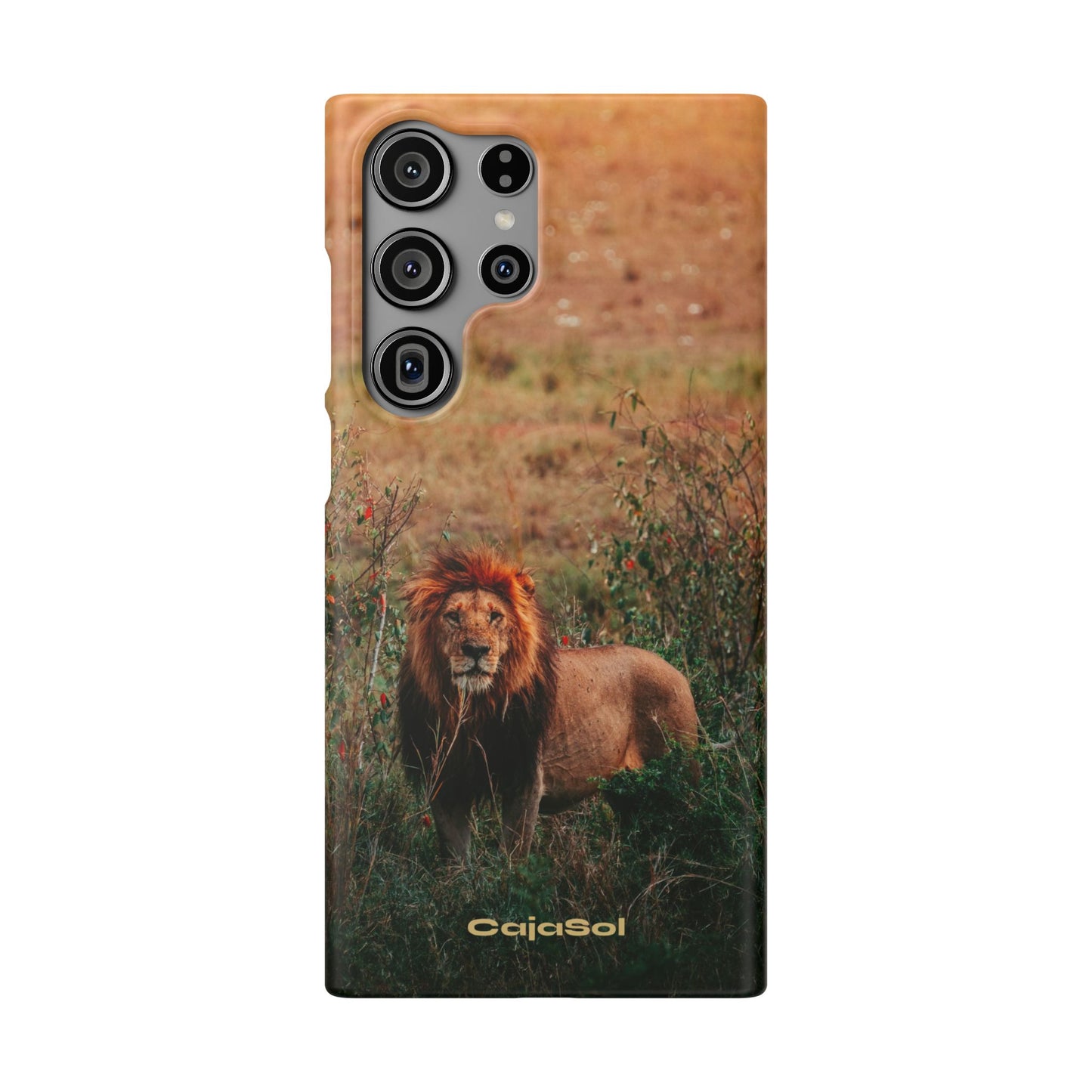 Majestic Lion Cajasol - Nature Inspired