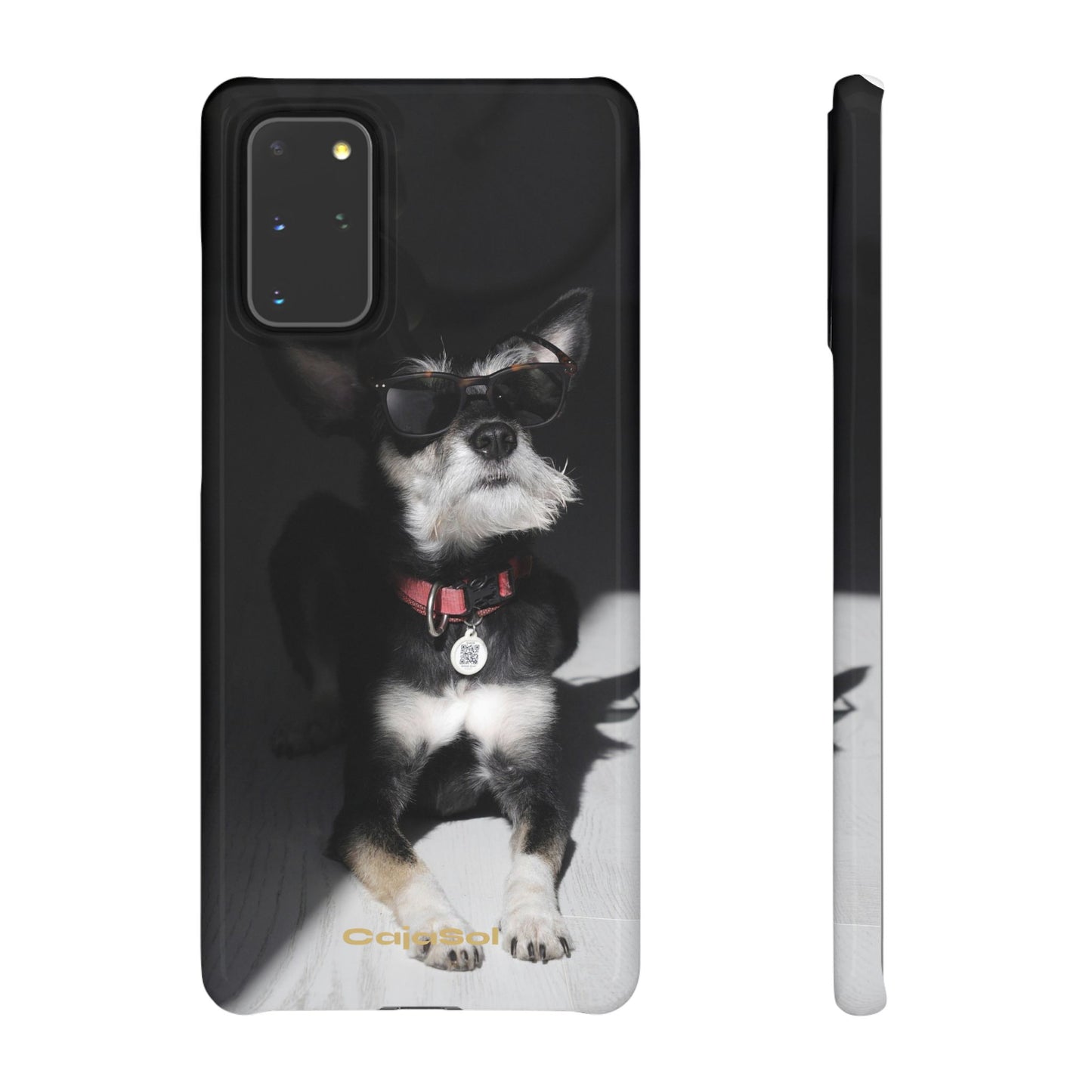Cool Dog Cajasol - Stylish Pet