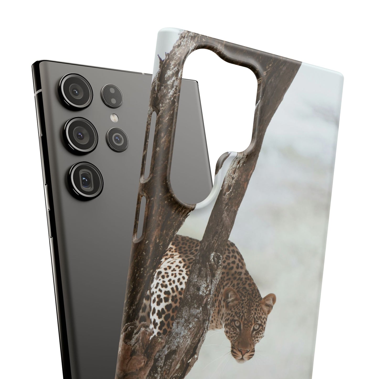 Leopard Cajasol - Wildlife Vibes