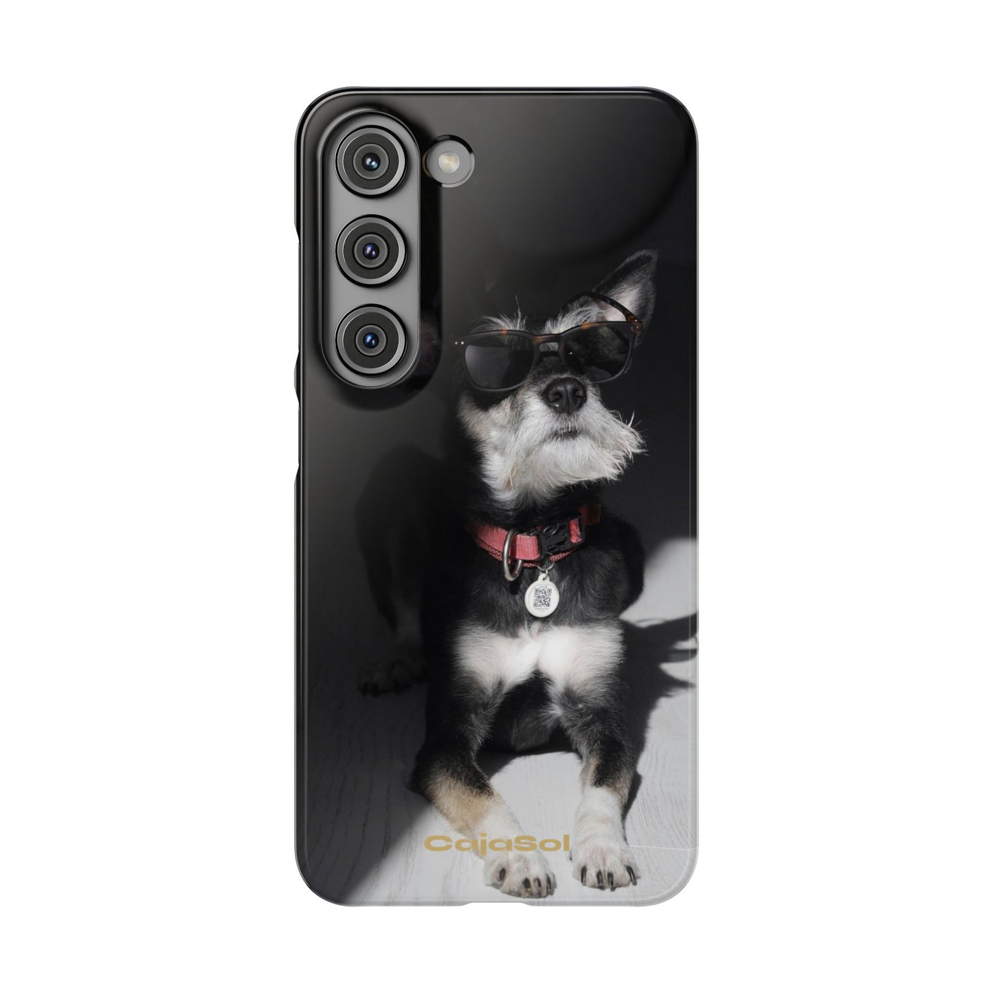 Cool Dog Cajasol - Stylish Pet