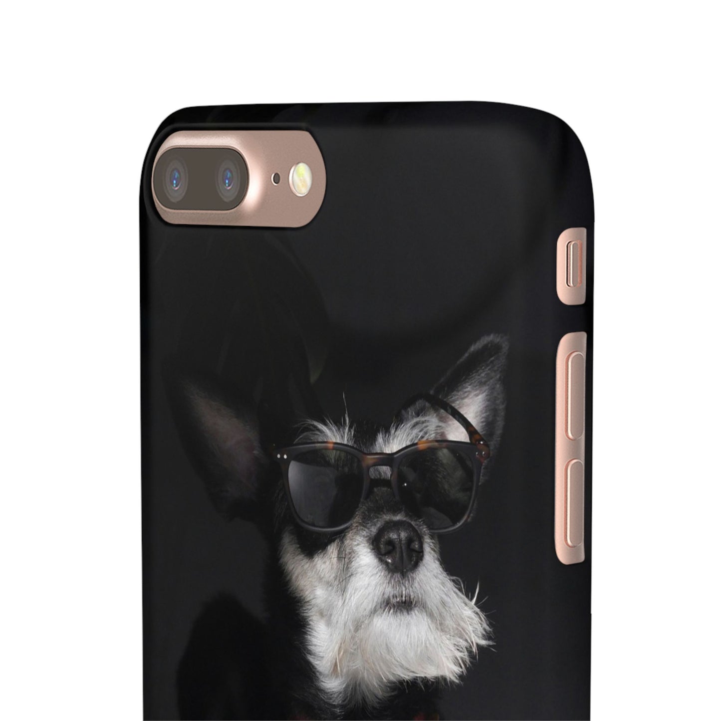 Cool Dog Cajasol - Stylish Pet
