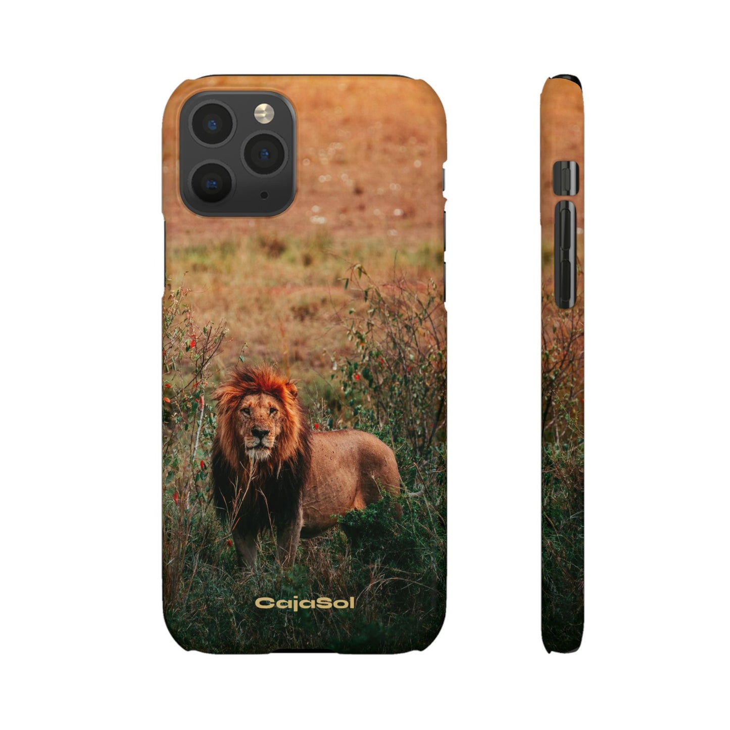 Majestic Lion Cajasol - Nature Inspired