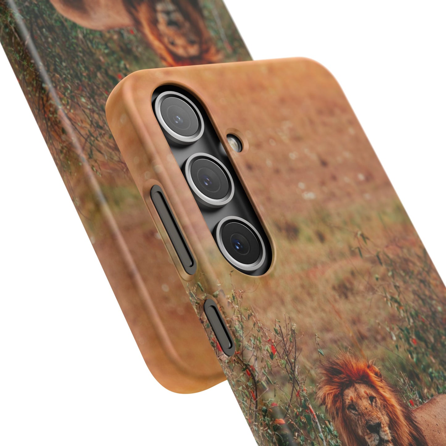 Majestic Lion Cajasol - Nature Inspired