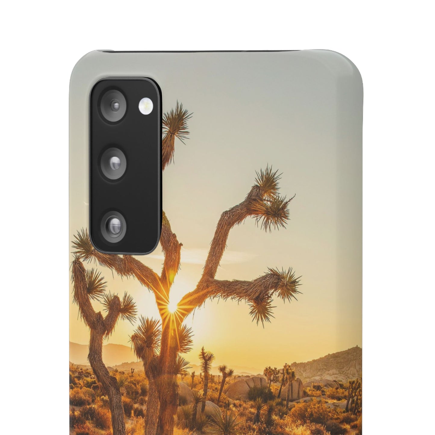 Desert Sunset Cajasol - Stylish Protection for Nature Lovers