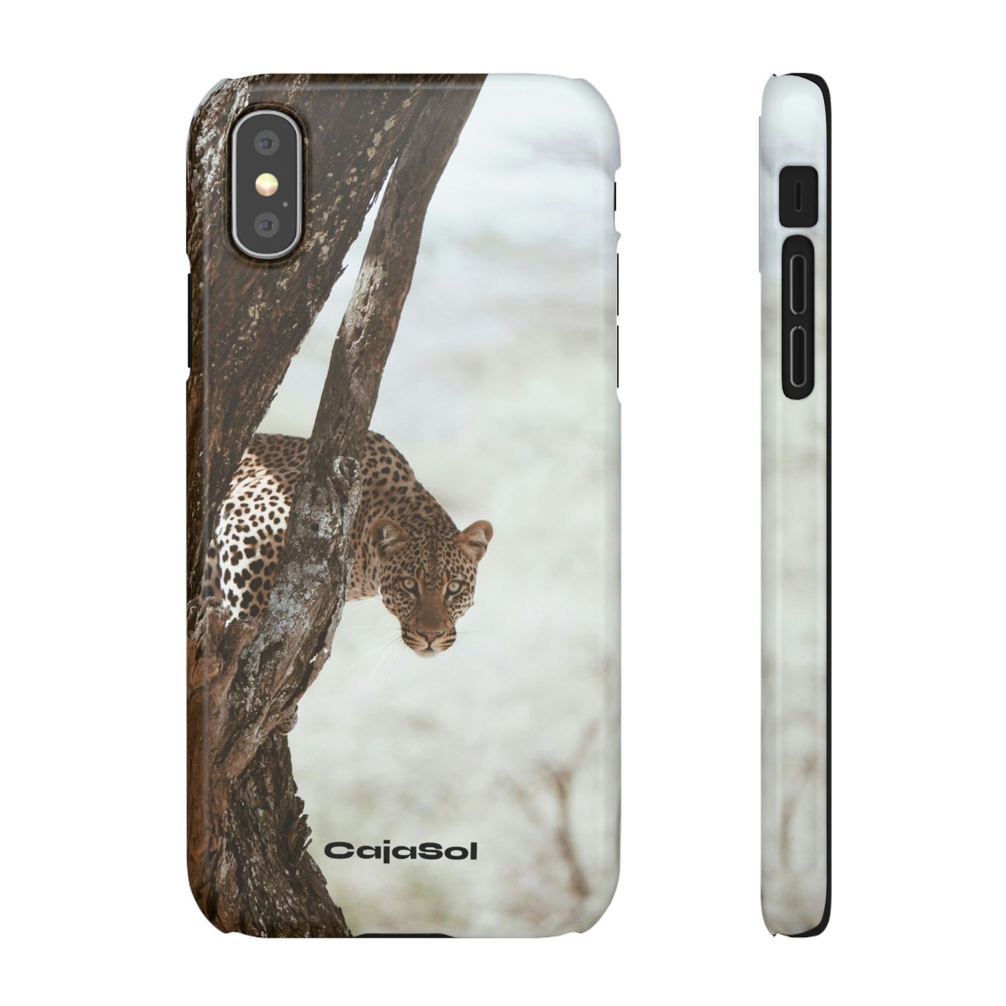 Leopard Cajasol - Wildlife Vibes