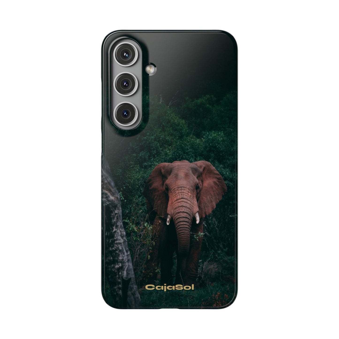 Wildlife Lover's Cajasol - Majestic Elephant