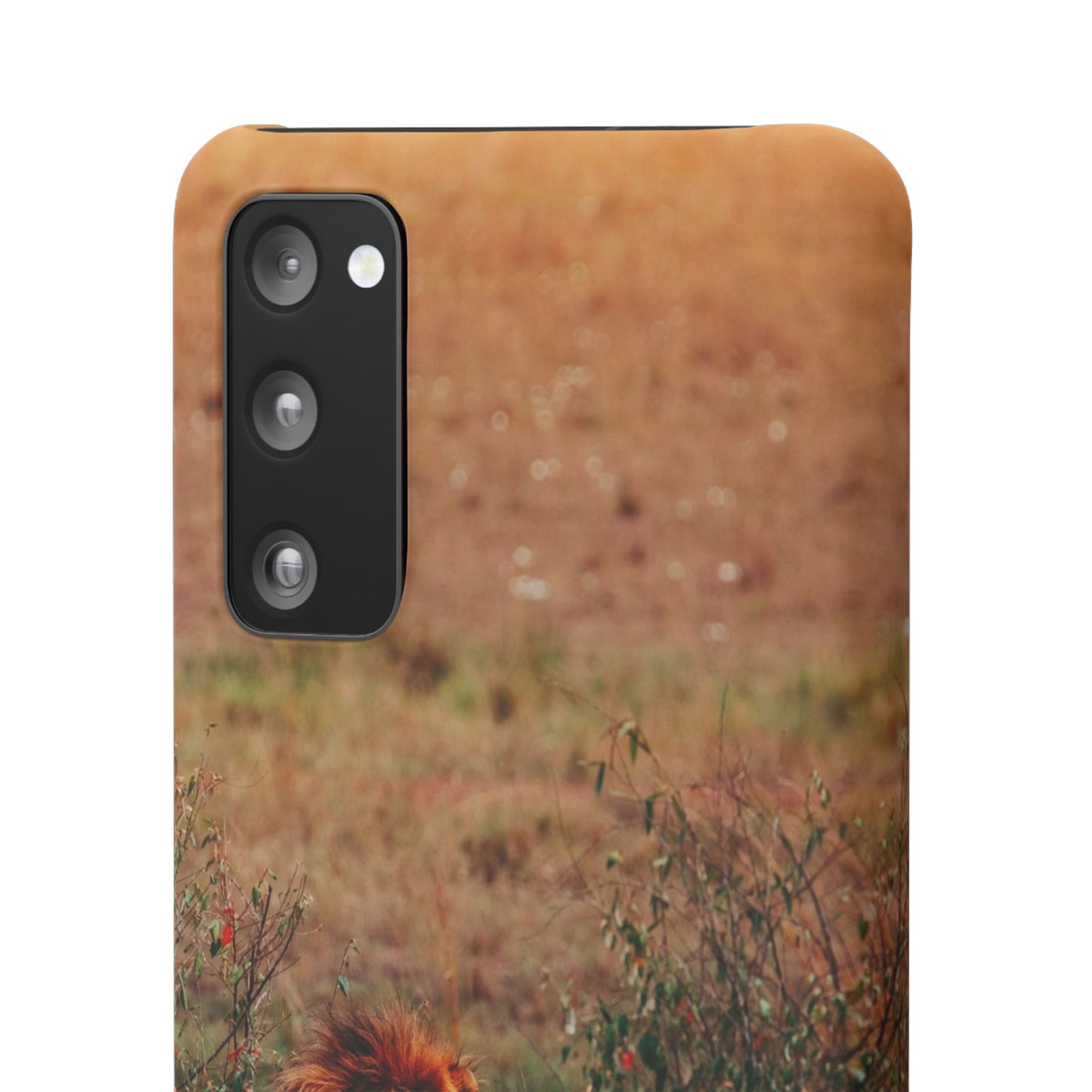 Majestic Lion Cajasol - Nature Inspired