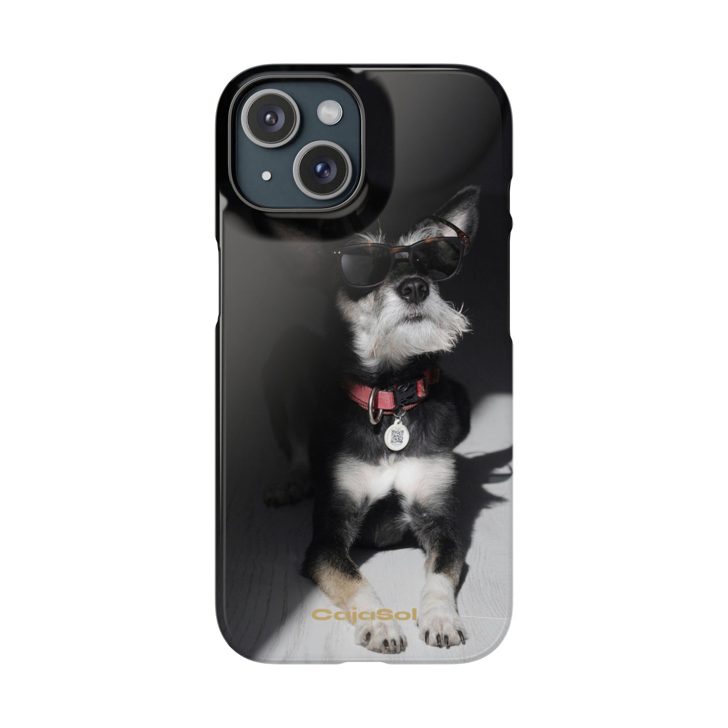 Cool Dog Cajasol - Stylish Pet