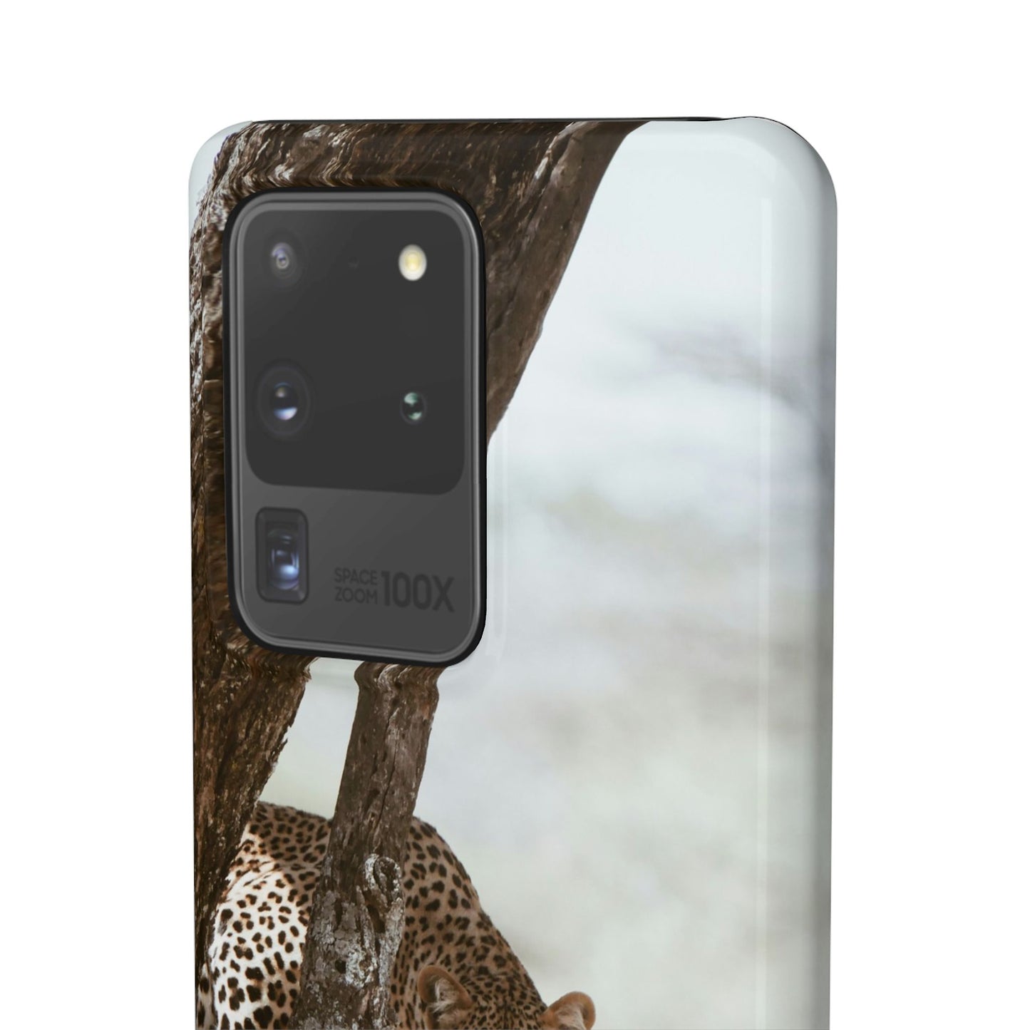 Leopard Cajasol - Wildlife Vibes