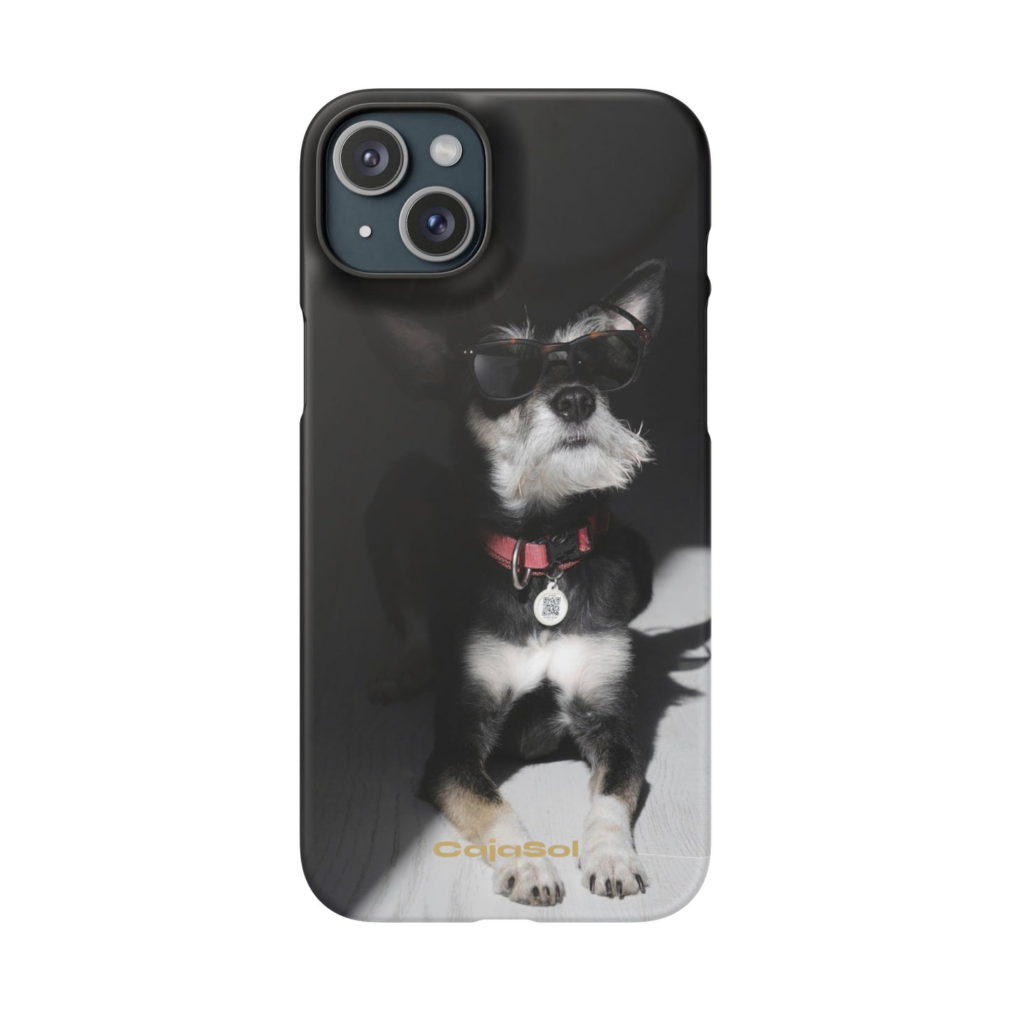 Cool Dog Cajasol - Stylish Pet