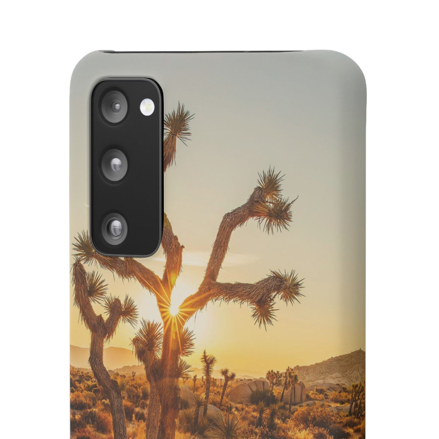 Desert Sunset Cajasol - Stylish Protection for Nature Lovers