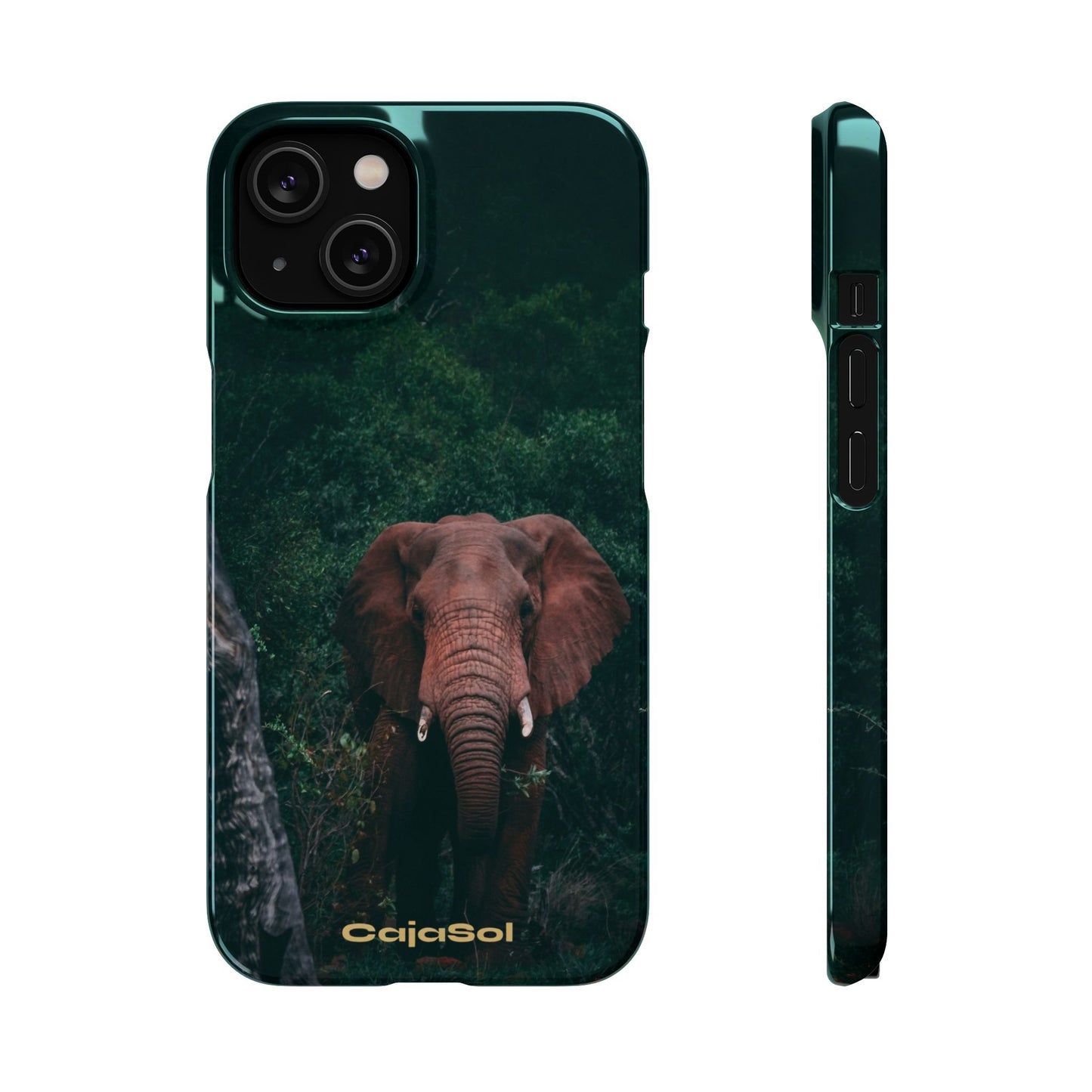 Wildlife Lover's Cajasol - Majestic Elephant