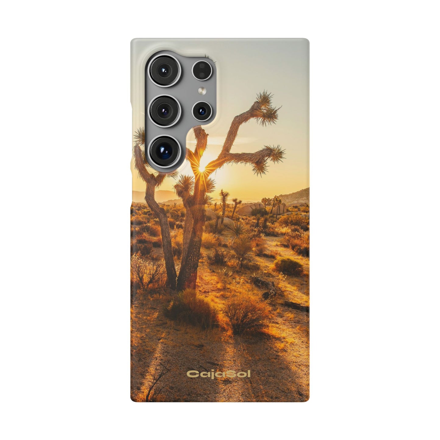 Desert Sunset Cajasol - Stylish Protection for Nature Lovers