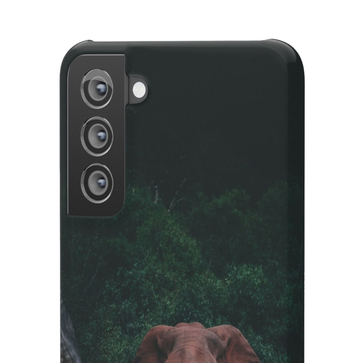 Wildlife Lover's Cajasol - Majestic Elephant