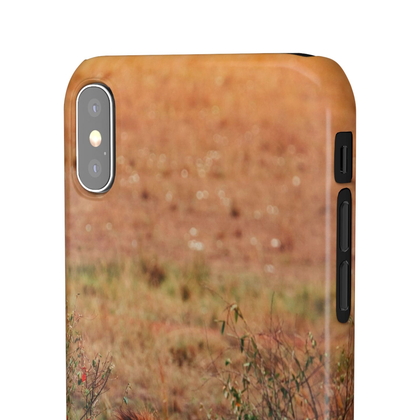Majestic Lion Cajasol - Nature Inspired