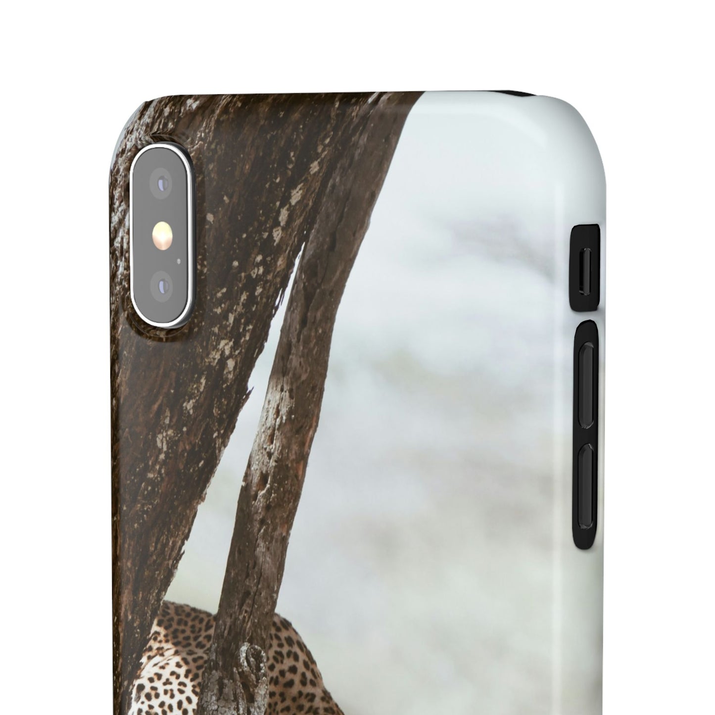 Leopard Cajasol - Wildlife Vibes