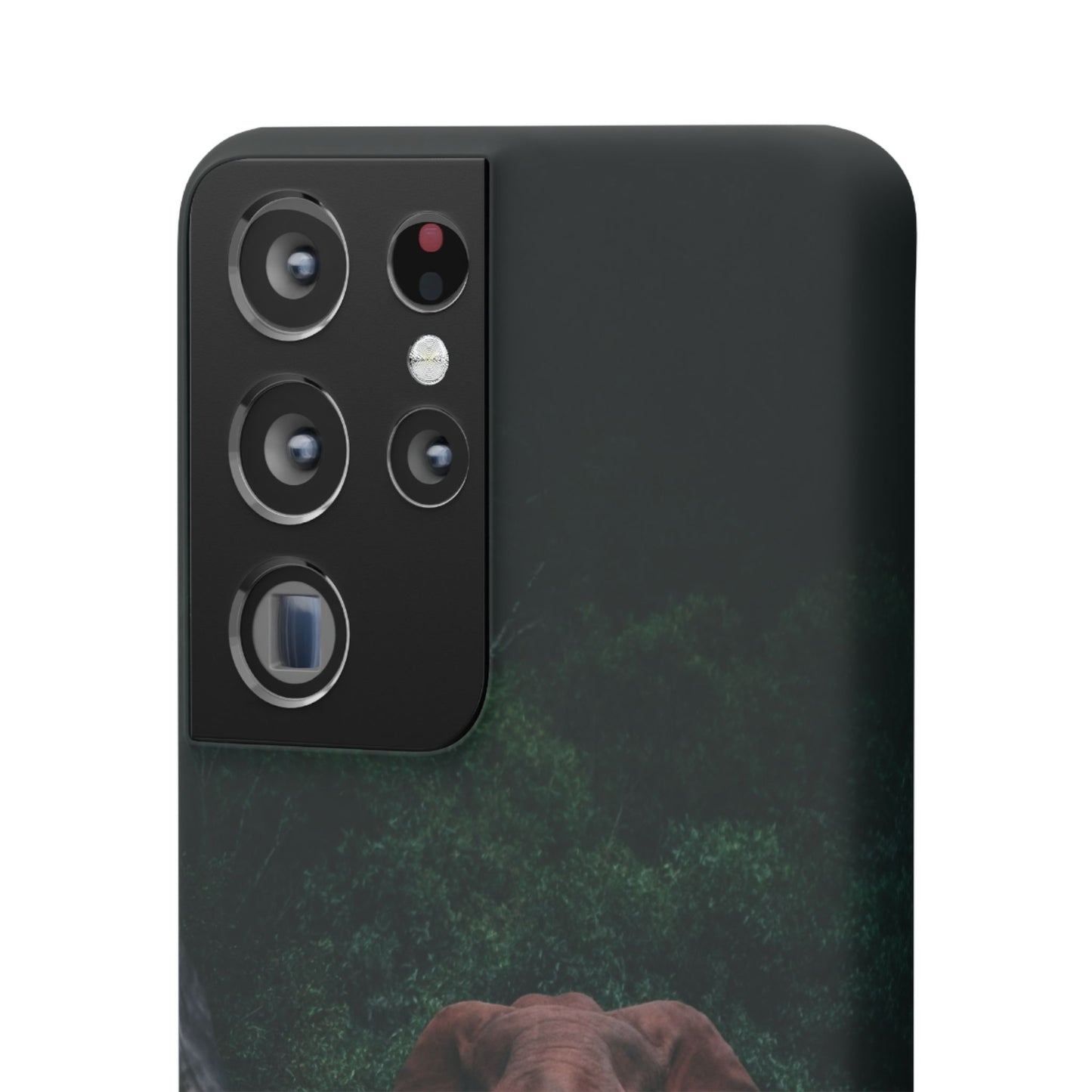 Wildlife Lover's Cajasol - Majestic Elephant