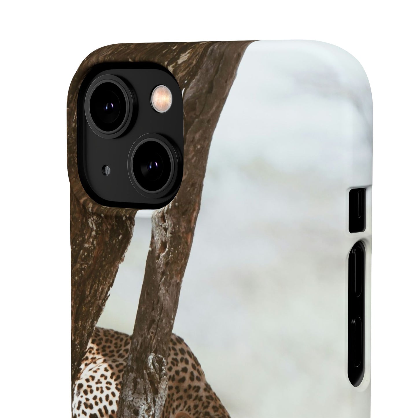 Leopard Cajasol - Wildlife Vibes