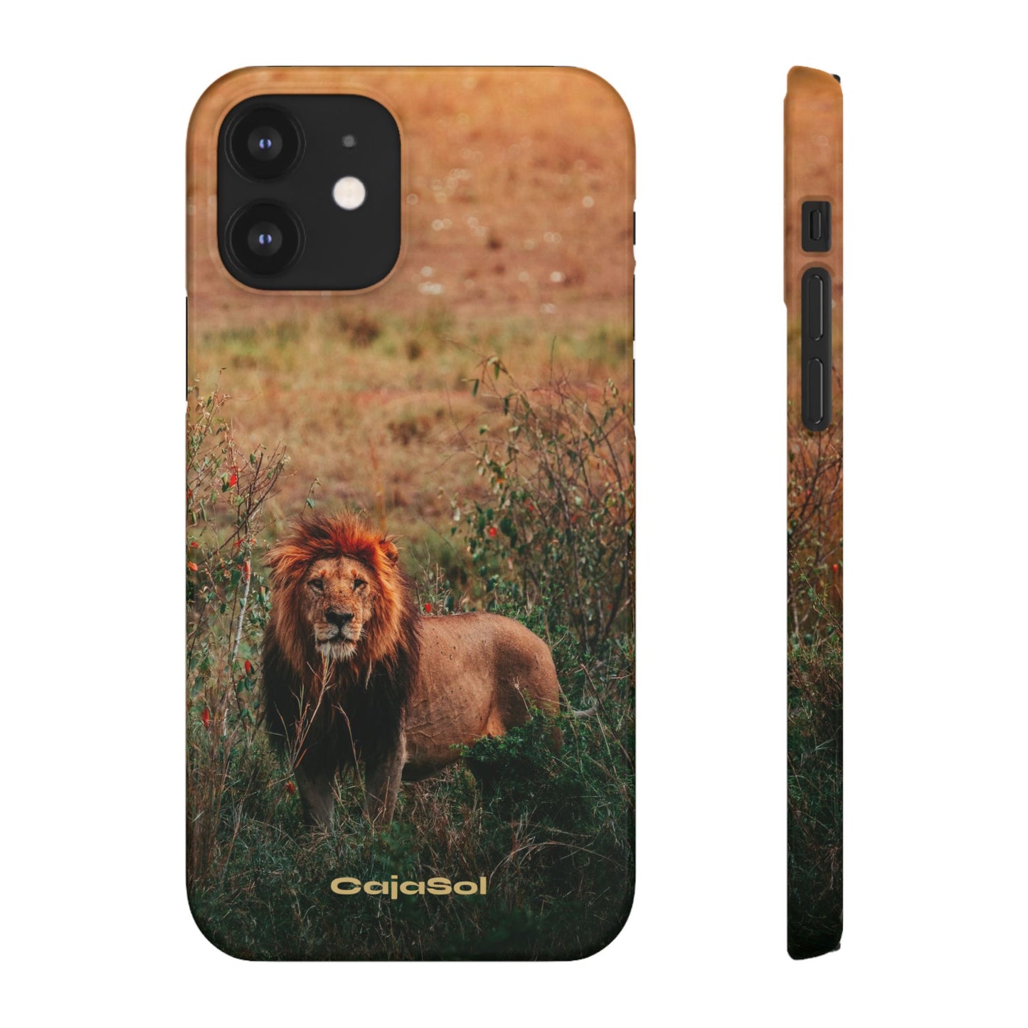 Majestic Lion Cajasol - Nature Inspired