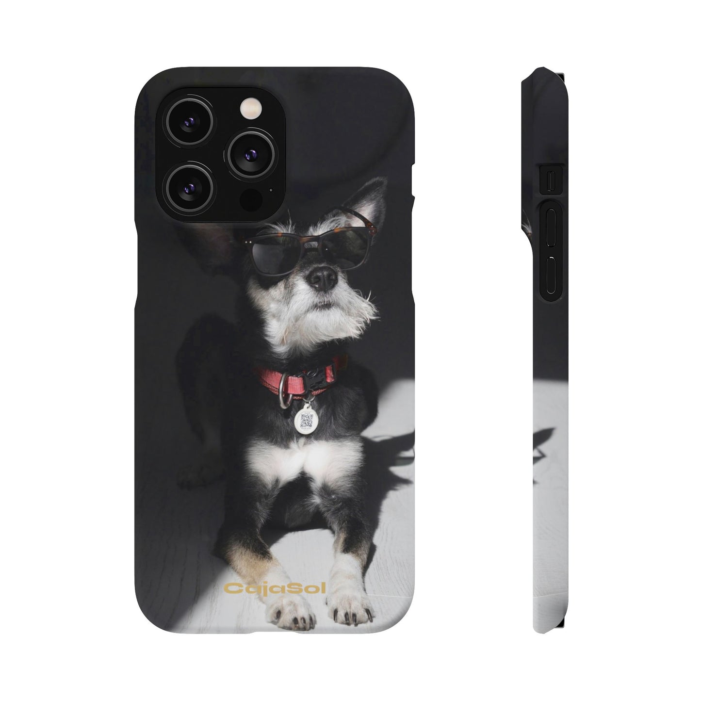 Cool Dog Cajasol - Stylish Pet