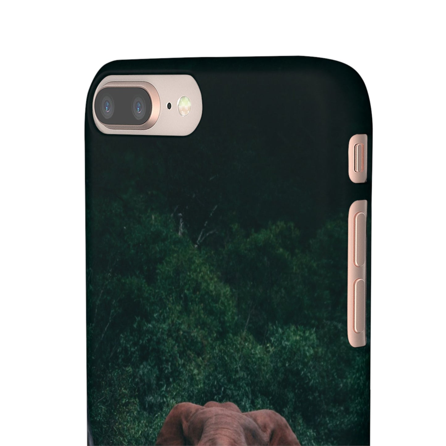 Wildlife Lover's Cajasol - Majestic Elephant