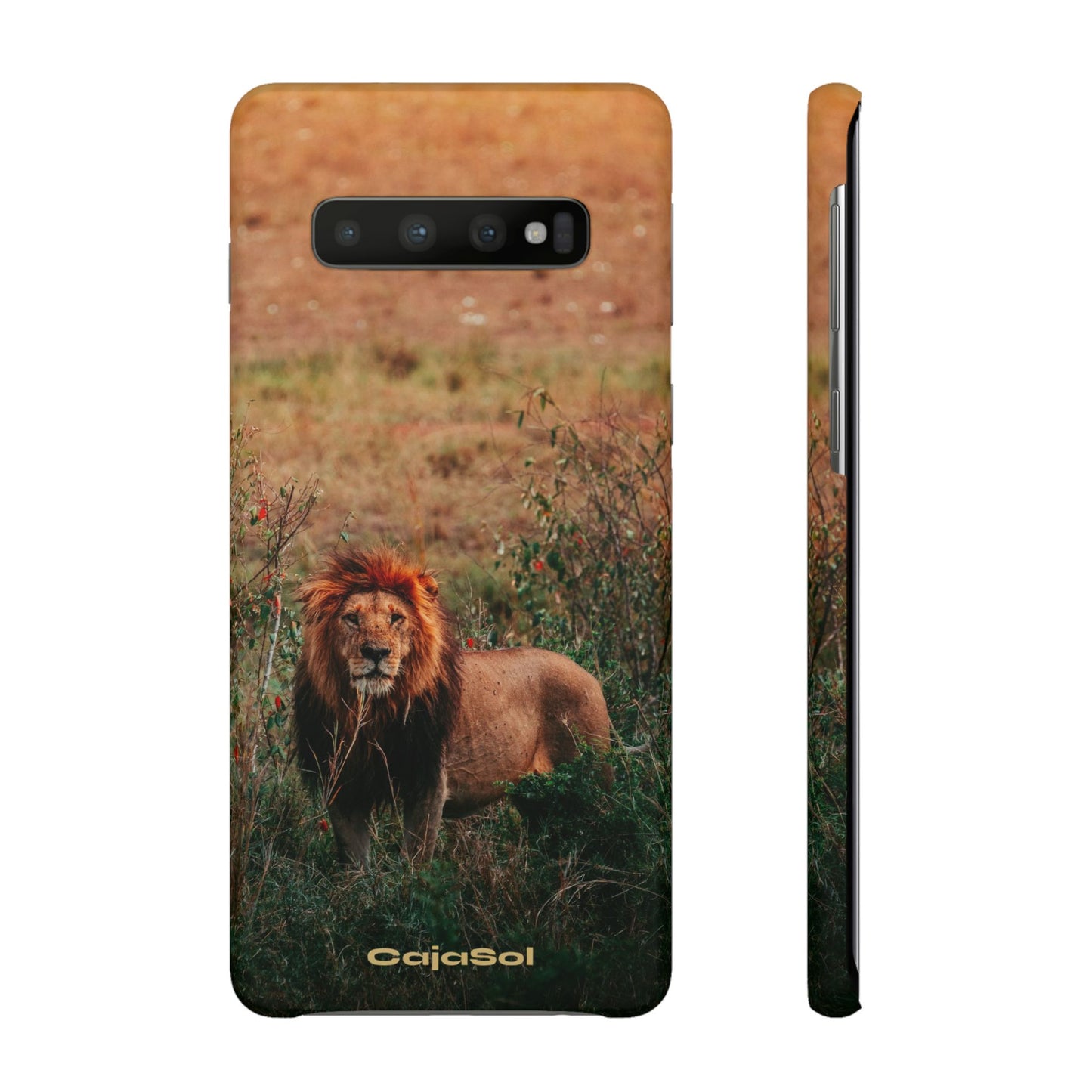 Majestic Lion Cajasol - Nature Inspired