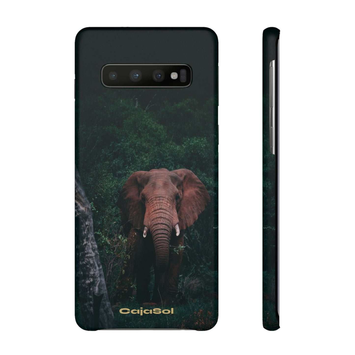 Wildlife Lover's Cajasol - Majestic Elephant